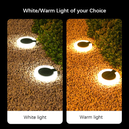 Solar-Powered Outdoor Lights – Eco-Friendly Garden Illumination